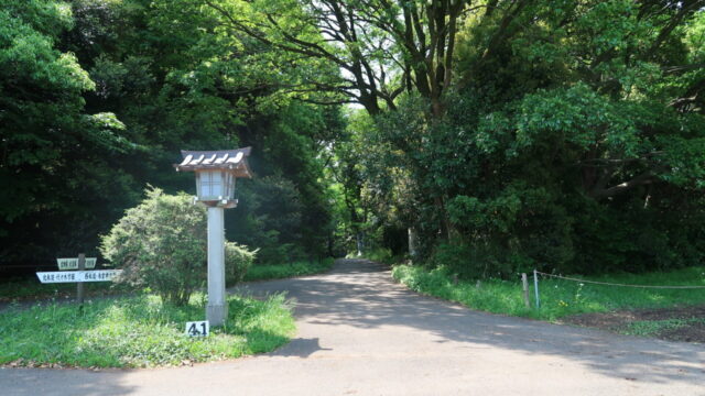 芝生から御苑へと続く道