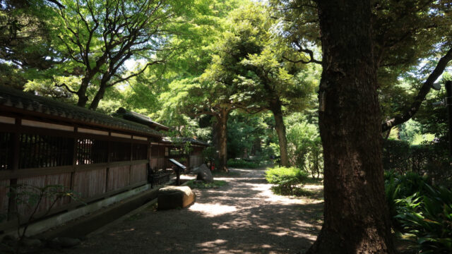 和館の前