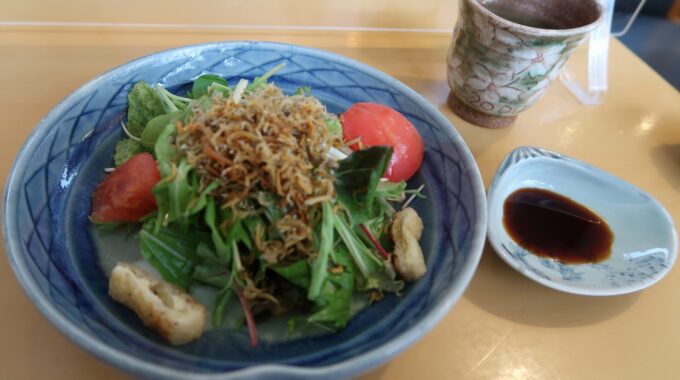 鎌倉野菜とジャコのサラダ