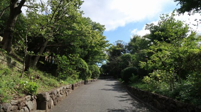 鳩山会館の長い坂道