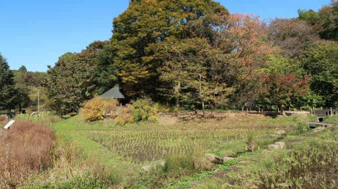 まるで山里のような風景