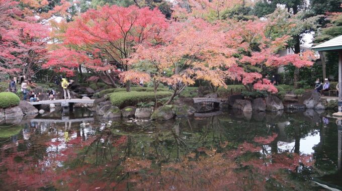 池の前の紅葉