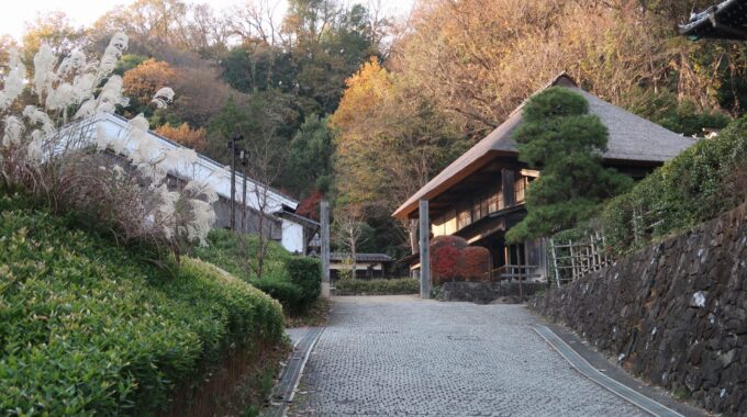 入園してすぐの風景