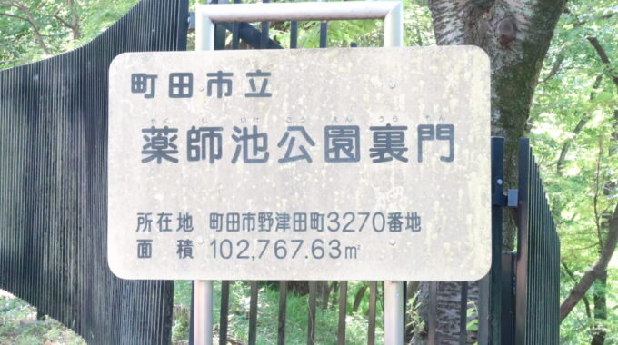 薬師池公園裏門