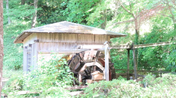 公園内に水車小屋