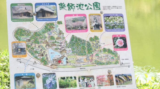 公園の案内マップ