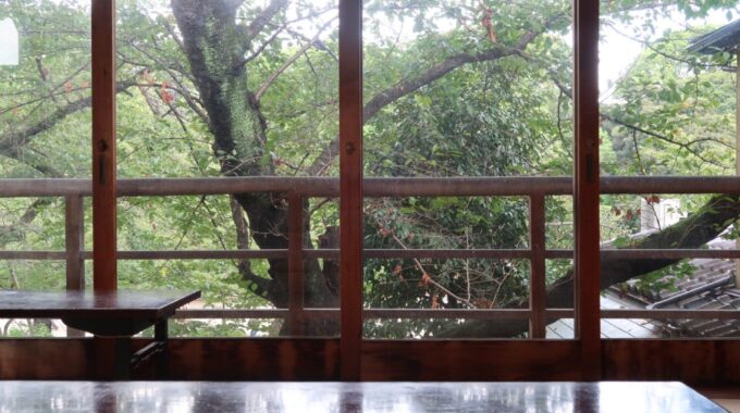 大きな窓から上野の杜が見える